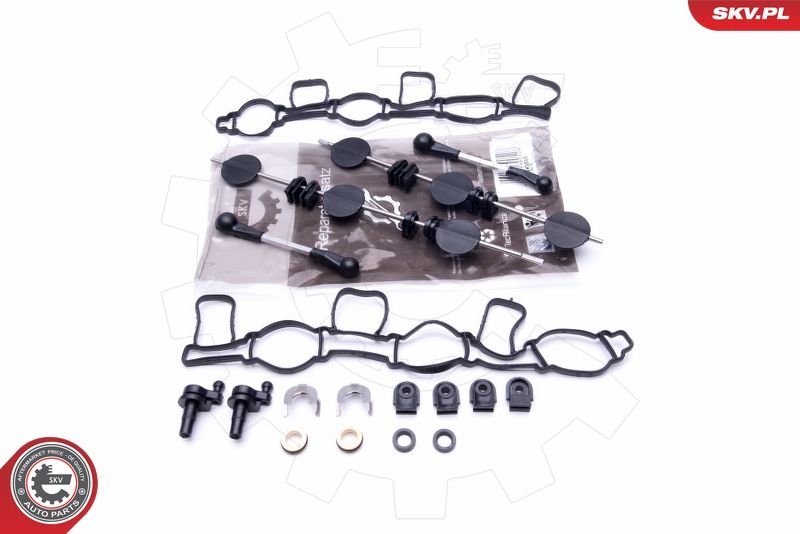ESEN SKV 49SKV500 Repair Kit, intake manifold module