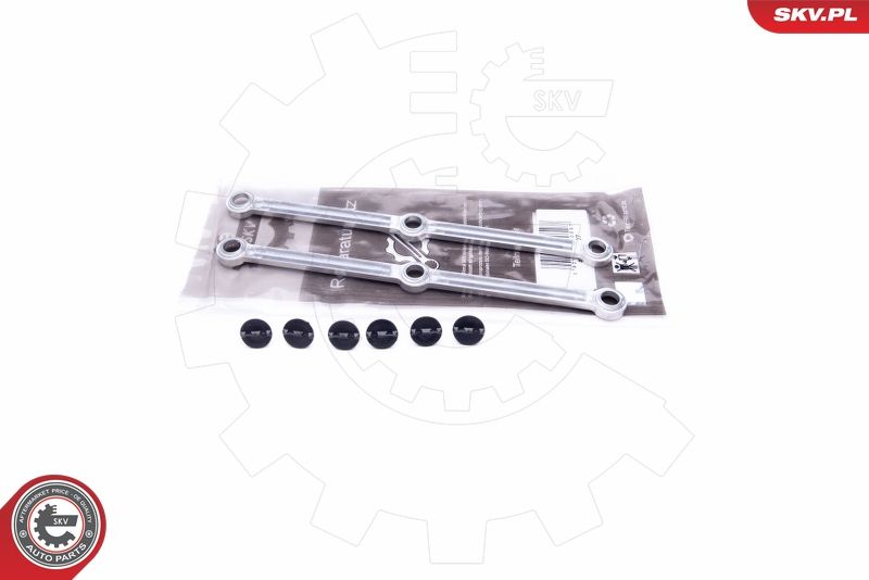 ESEN SKV 49SKV507 Repair Kit, intake manifold module