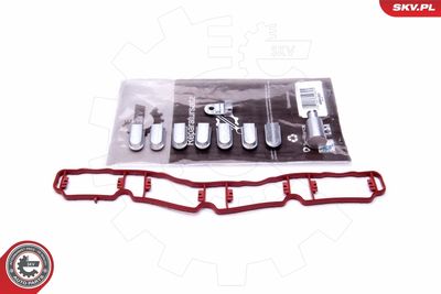 Repair Kit, intake manifold module ESEN SKV 49SKV521