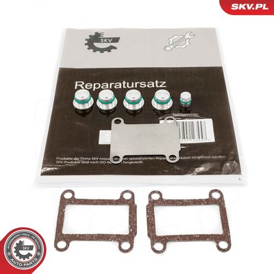 Repair Kit, intake manifold module ESEN SKV 49SKV525