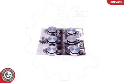 Repair Kit, intake manifold module ESEN SKV 49SKV542