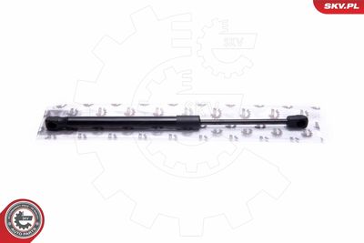 Gas Spring, bonnet ESEN SKV 52SKV079