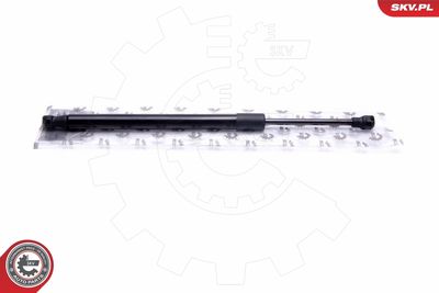 Gas Spring, bonnet ESEN SKV 52SKV100