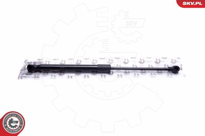 Gas Spring, bonnet ESEN SKV 52SKV120