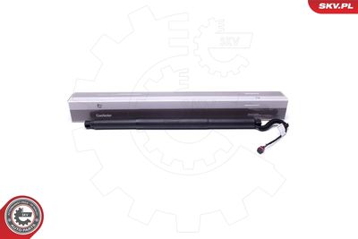 Electric Motor, tailgate ESEN SKV 52SKV904
