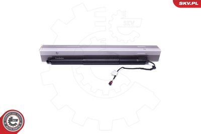 Electric Motor, tailgate ESEN SKV 52SKV907