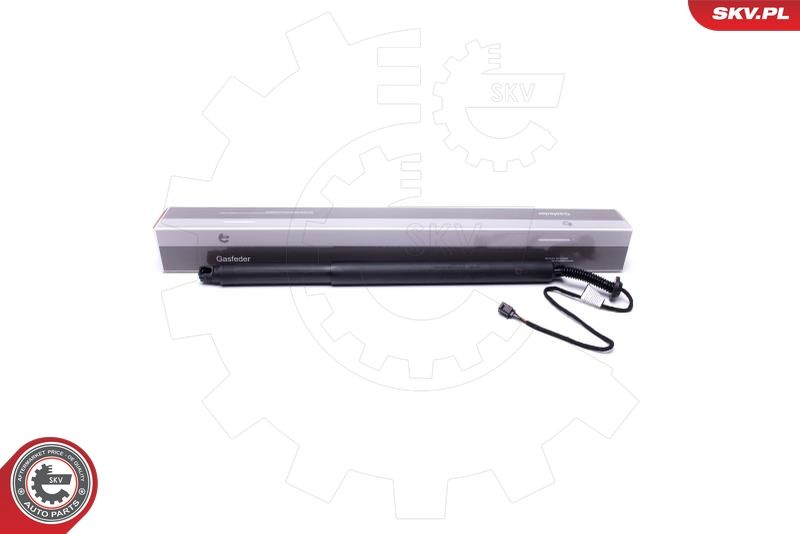 ESEN SKV 52SKV911 Electric Motor, tailgate