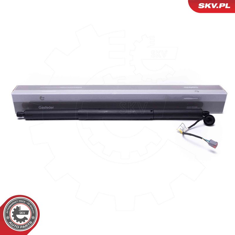 ESEN SKV 52SKV951 Electric Motor, tailgate