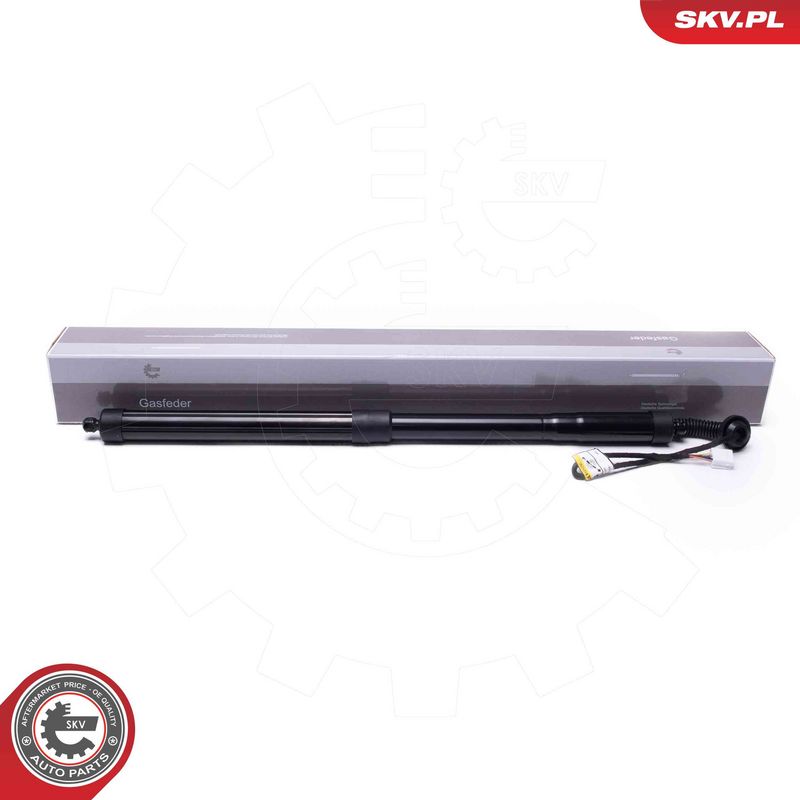 ESEN SKV 52SKV956 Electric Motor, tailgate