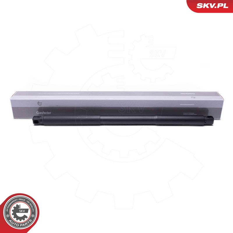 ESEN SKV 52SKV957 Electric Motor, tailgate