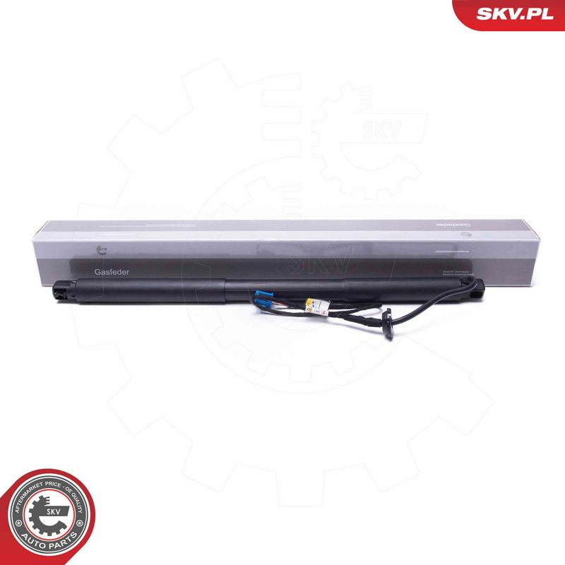 ESEN SKV 52SKV958 Electric Motor, tailgate