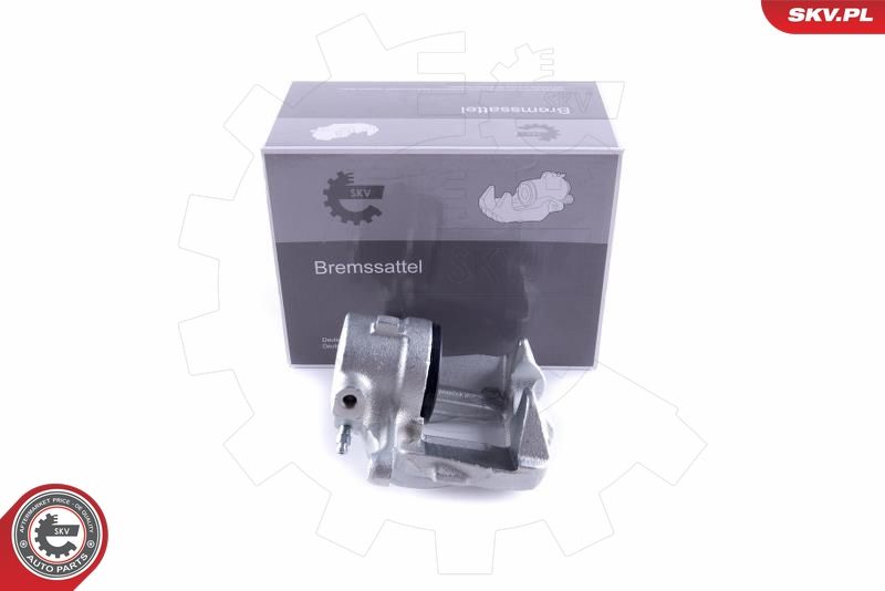 ESEN SKV 55SKV041 Brake Caliper