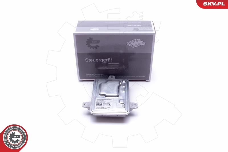 ESEN SKV 59SKV054 Control Unit, lights
