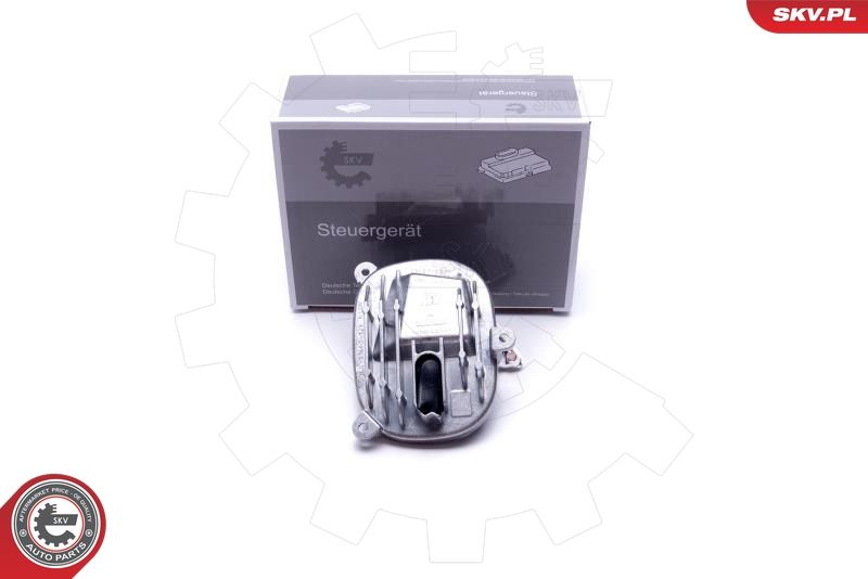 ESEN SKV 59SKV143 Control Unit, dynamic bending light