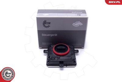 Control Unit, lights ESEN SKV 59SKV166