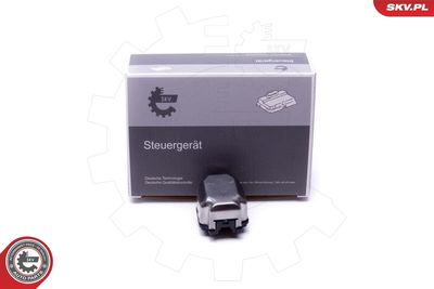 Control Unit, lights ESEN SKV 59SKV182