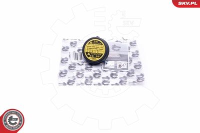 Cap, coolant tank ESEN SKV 61SKV008