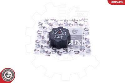 Cap, coolant tank ESEN SKV 61SKV025