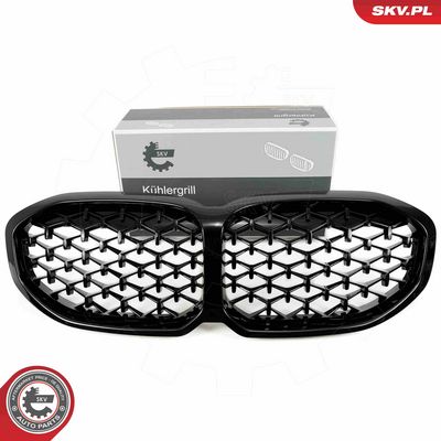 Radiator Grille ESEN SKV 66SKV027