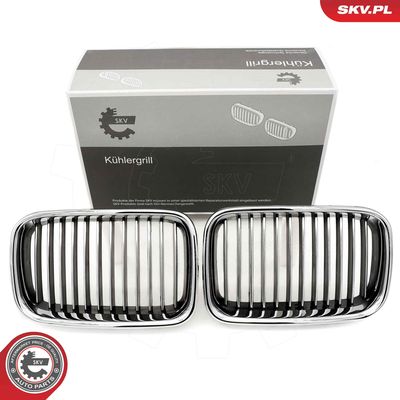 Radiator Grille ESEN SKV 66SKV044