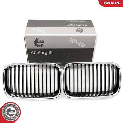 Radiator Grille ESEN SKV 66SKV045