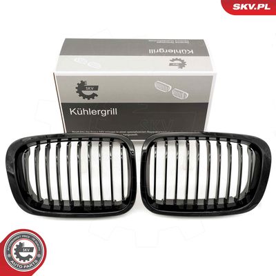 Radiator Grille ESEN SKV 66SKV060