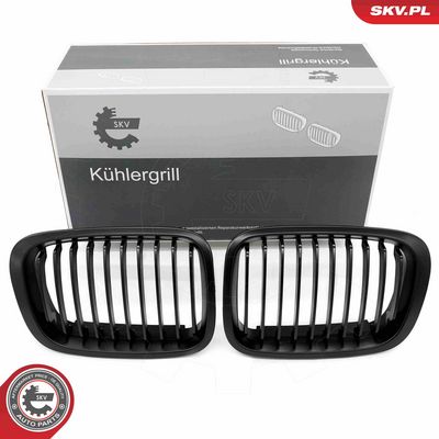 Radiator Grille ESEN SKV 66SKV062