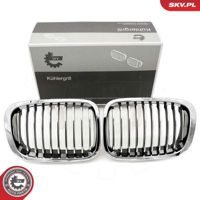 Radiator Grille ESEN SKV 66SKV063