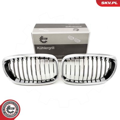 Radiator Grille ESEN SKV 66SKV070