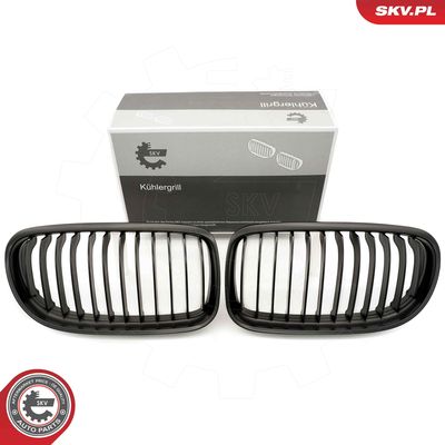 Radiator Grille ESEN SKV 66SKV097