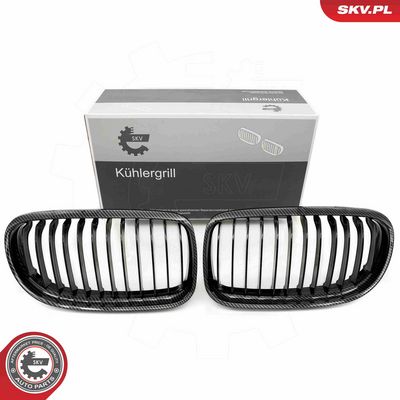 Radiator Grille ESEN SKV 66SKV098