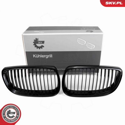 Radiator Grille ESEN SKV 66SKV104