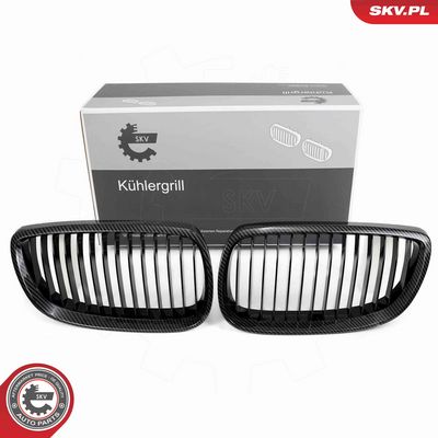 Radiator Grille ESEN SKV 66SKV106