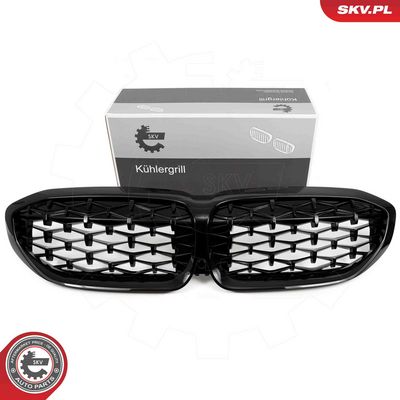 Radiator Grille ESEN SKV 66SKV141