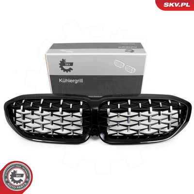 Radiator Grille ESEN SKV 66SKV142