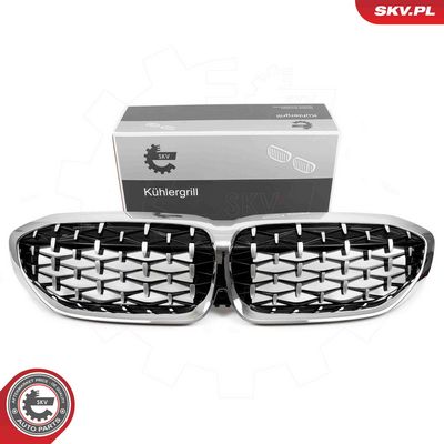 Radiator Grille ESEN SKV 66SKV143