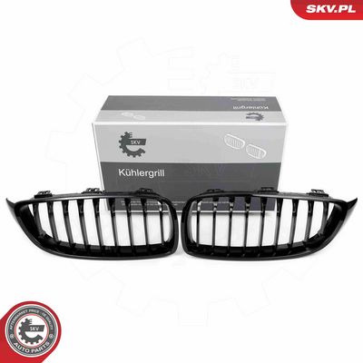 Radiator Grille ESEN SKV 66SKV149