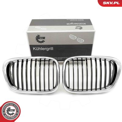 Radiator Grille ESEN SKV 66SKV160