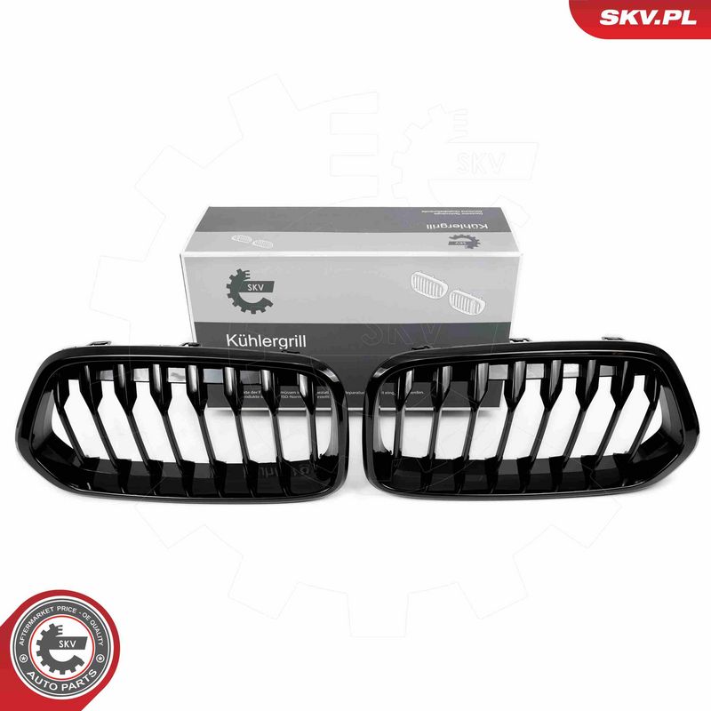 ESEN SKV 66SKV245 Radiator Grille