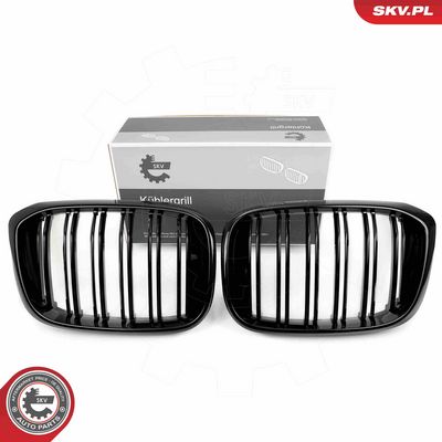 Radiator Grille ESEN SKV 66SKV261