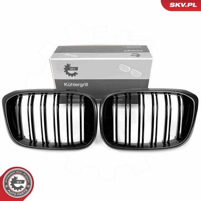 Radiator Grille ESEN SKV 66SKV264