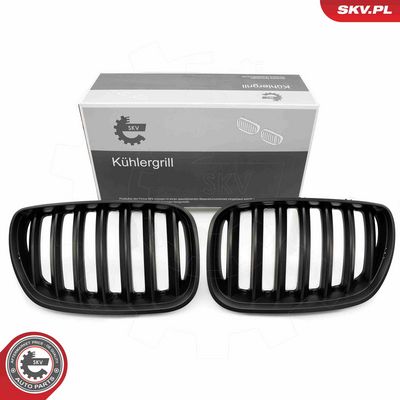 Radiator Grille ESEN SKV 66SKV278