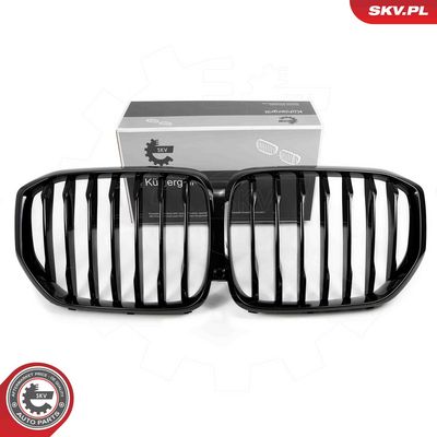 Radiator Grille ESEN SKV 66SKV300