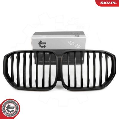 Radiator Grille ESEN SKV 66SKV301
