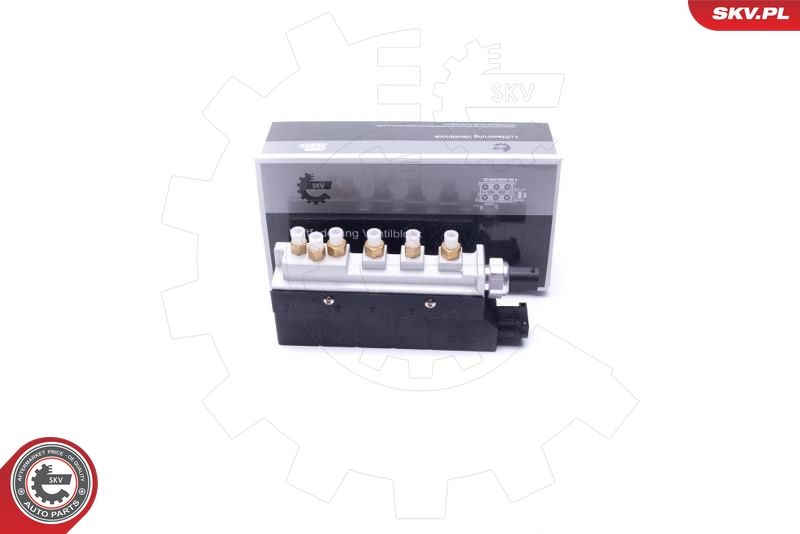 ESEN SKV 93SKV810 Valve, compressed-air system