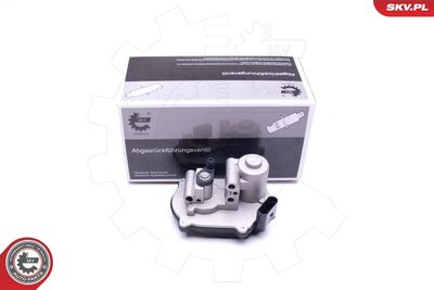 Control, swirl covers (induction pipe) ESEN SKV 96SKV041