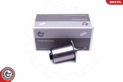 Actuator, exentric shaft (variable valve lift) ESEN SKV 96SKV089
