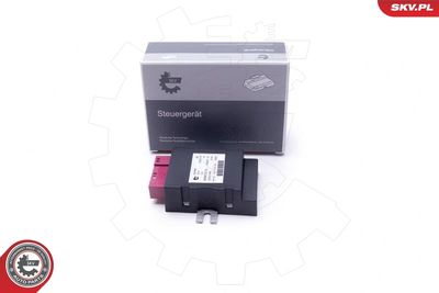 Control Unit, fuel pump ESEN SKV 96SKV212