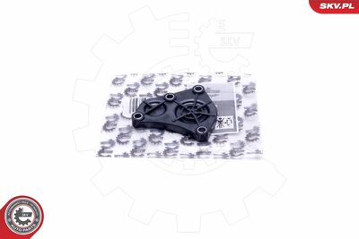 Seal Cap, camshaft ESEN SKV 96SKV215