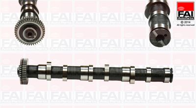 Camshaft FAI AutoParts C279